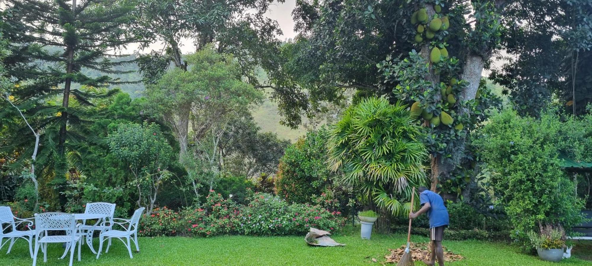 Sithara Estate Bungalow Ella Εξωτερικό φωτογραφία
