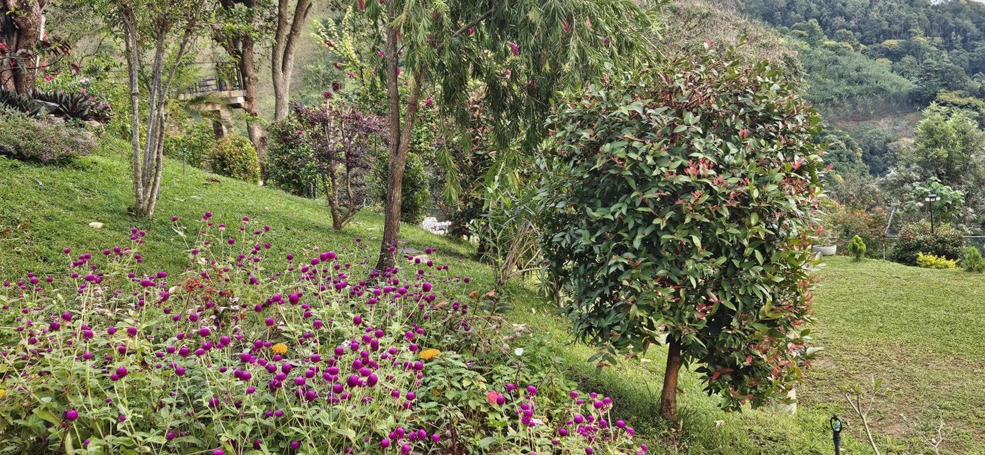 Sithara Estate Bungalow Ella Εξωτερικό φωτογραφία