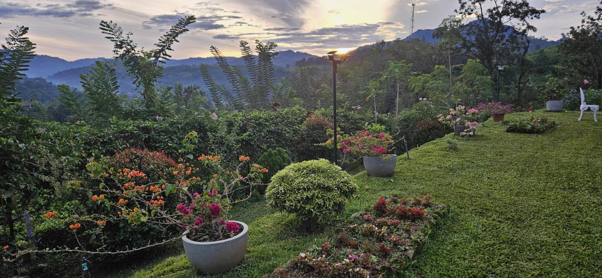 Sithara Estate Bungalow Ella Εξωτερικό φωτογραφία