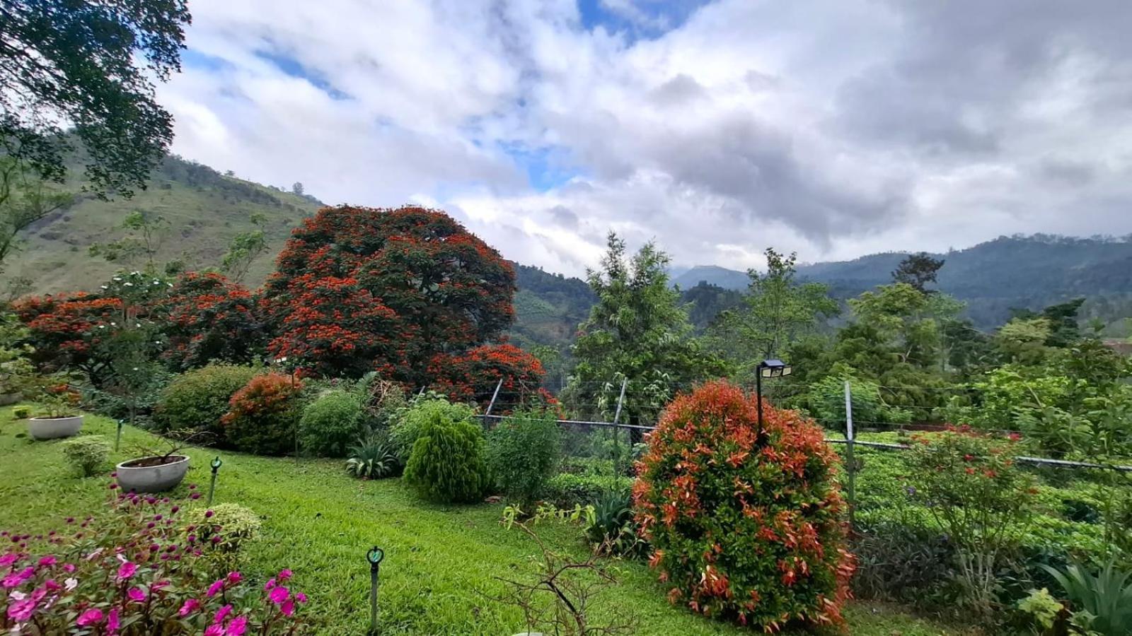 Sithara Estate Bungalow Ella Εξωτερικό φωτογραφία