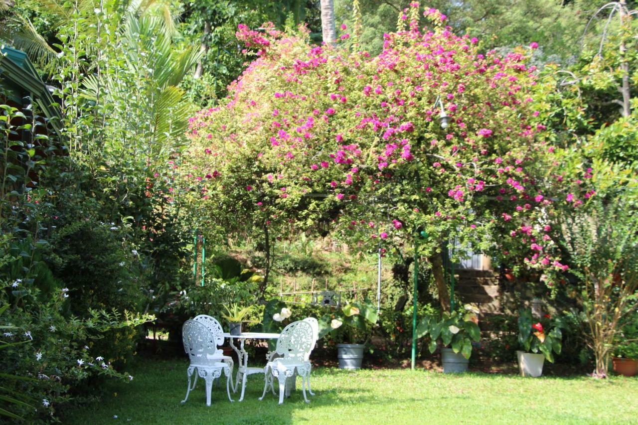 Sithara Estate Bungalow Ella Εξωτερικό φωτογραφία